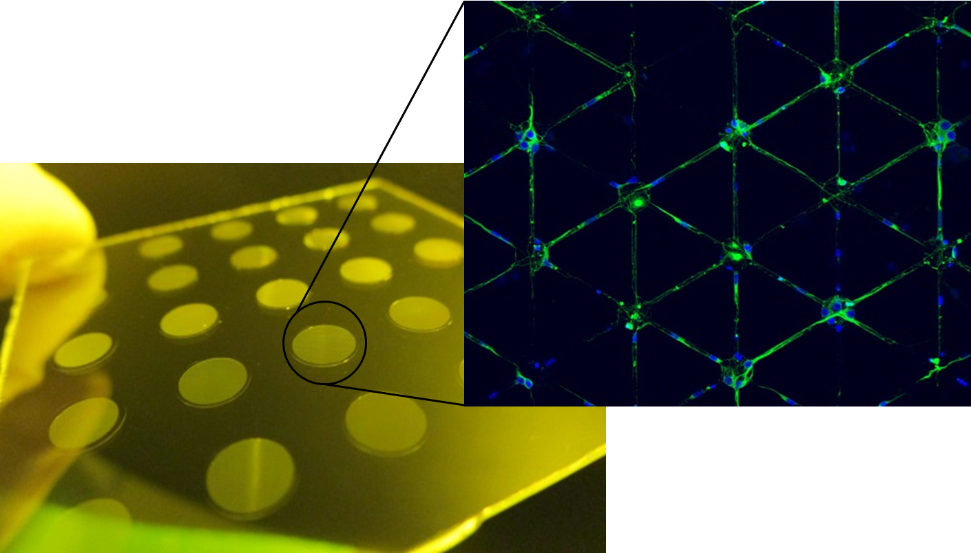 Micro Patterned Micro Titer Plates